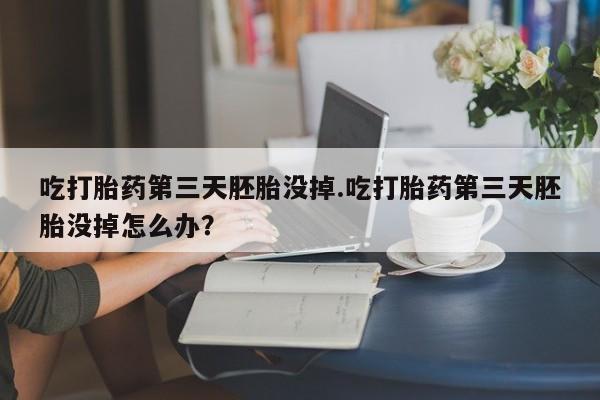 流产药购买联系吃打胎药第三天胚胎没掉.吃打胎药第三天胚胎没掉怎么办？