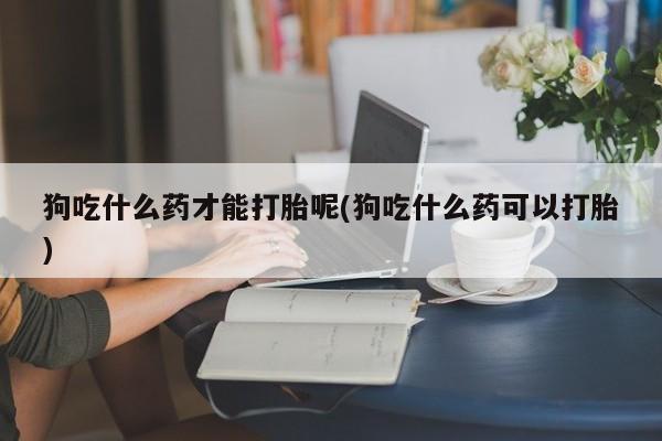 流产药购买联系狗吃什么药才能打胎呢(狗吃什么药可以打胎)