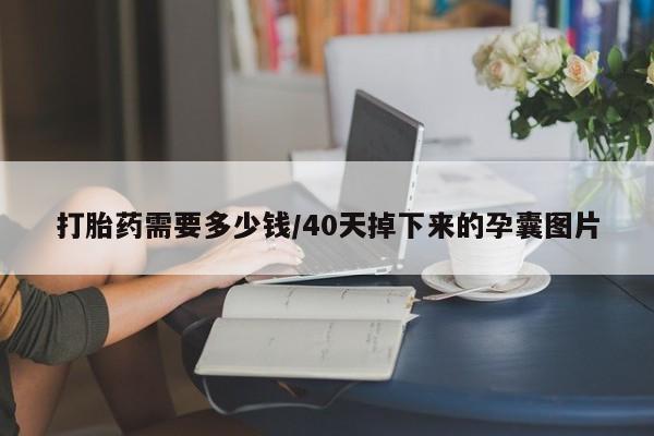 流产药购买联系打胎药需要多少钱/40天掉下来的孕囊图片